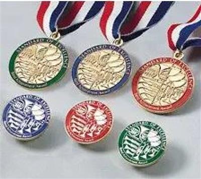 Standard of Excellence Book 2 Award Medal