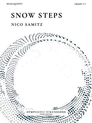 Snow Steps
